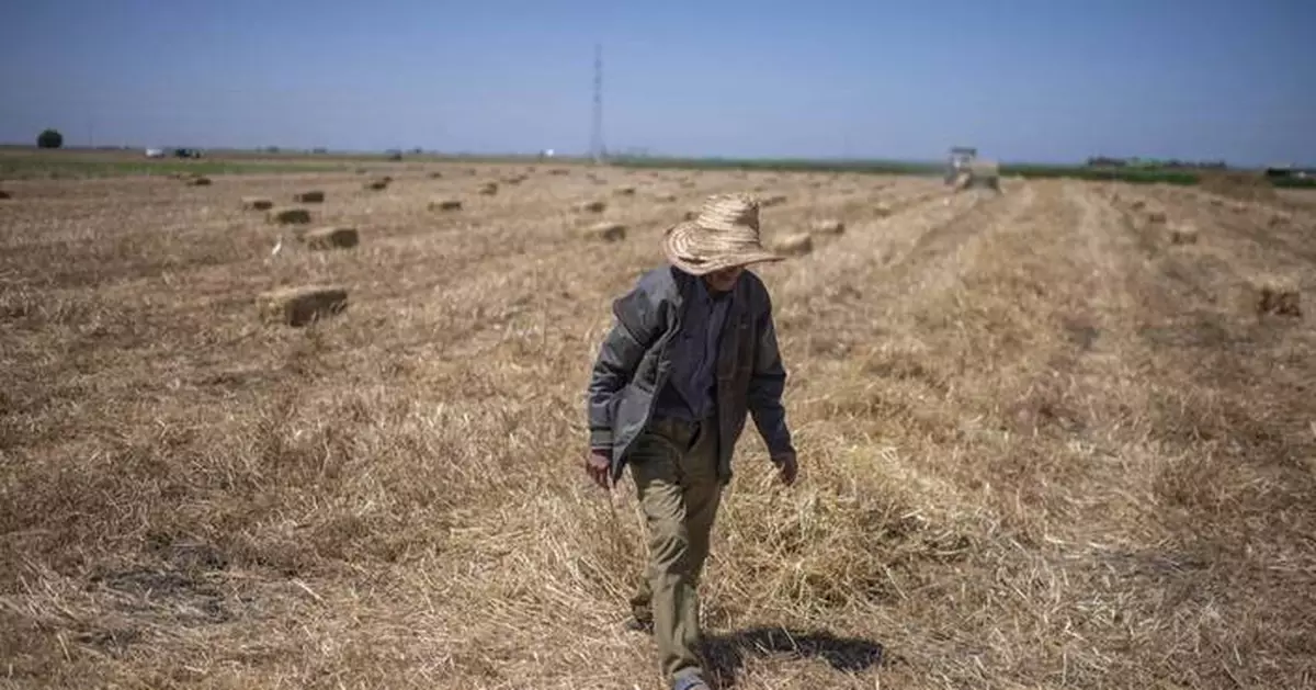 Climate change imperils drought-stricken Morocco’s cereal farmers and its food supply