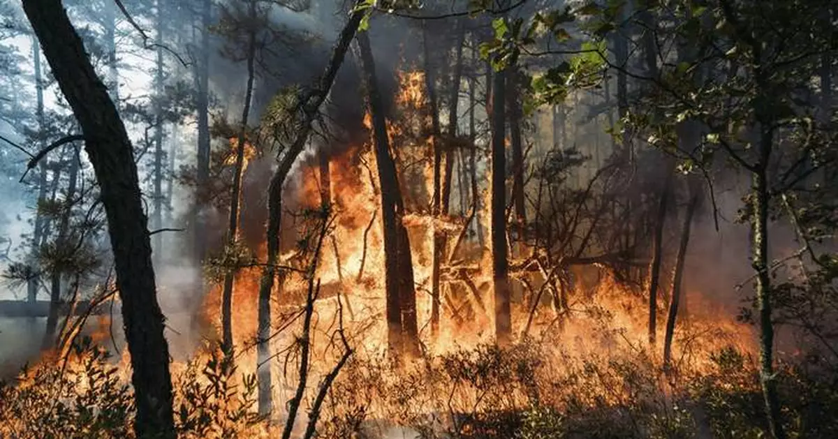 New Jersey forest fire that was sparked by fireworks is 75% contained