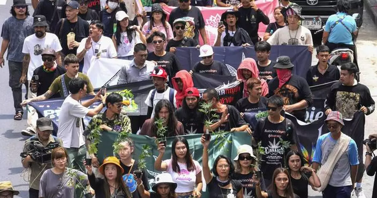 Cannabis advocates in Thailand protest a proposal to ban again its general use