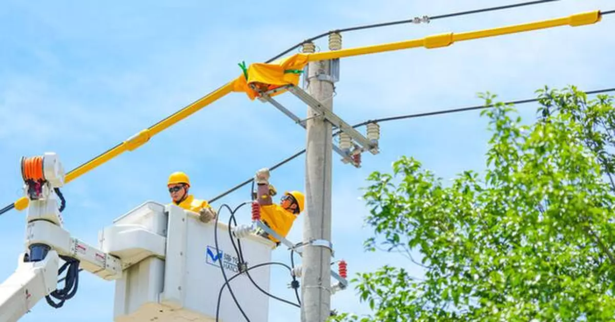Zhejiang: Intelligent Cooling in the Heat of Summer