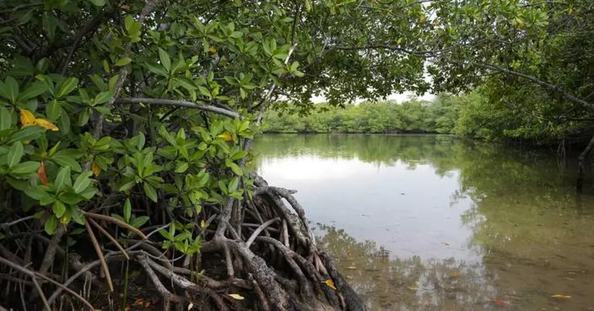 Floridians balk at DeSantis administration plan to build golf courses at state parks