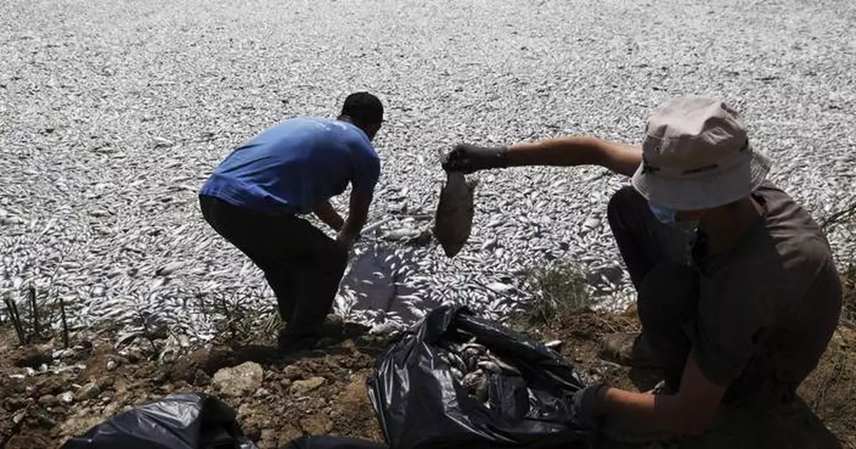 A climate-related mass die-off leaves over 100 tons of dead fish collecting at a Greek port