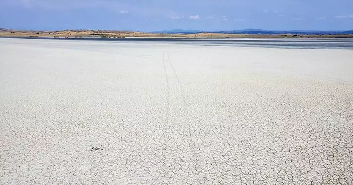 Drying lakes and thirsty trees: In drought-hit Greece, water trucks are keeping crops alive