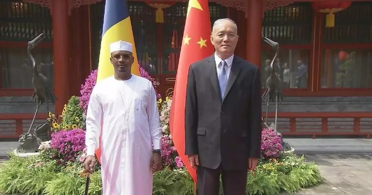 Senior CPC official meets Chadian president