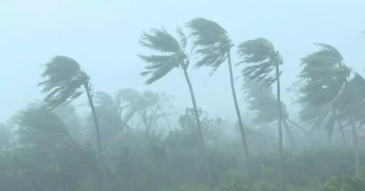 South China provinces take action as Typhoon Yagi makes landfall