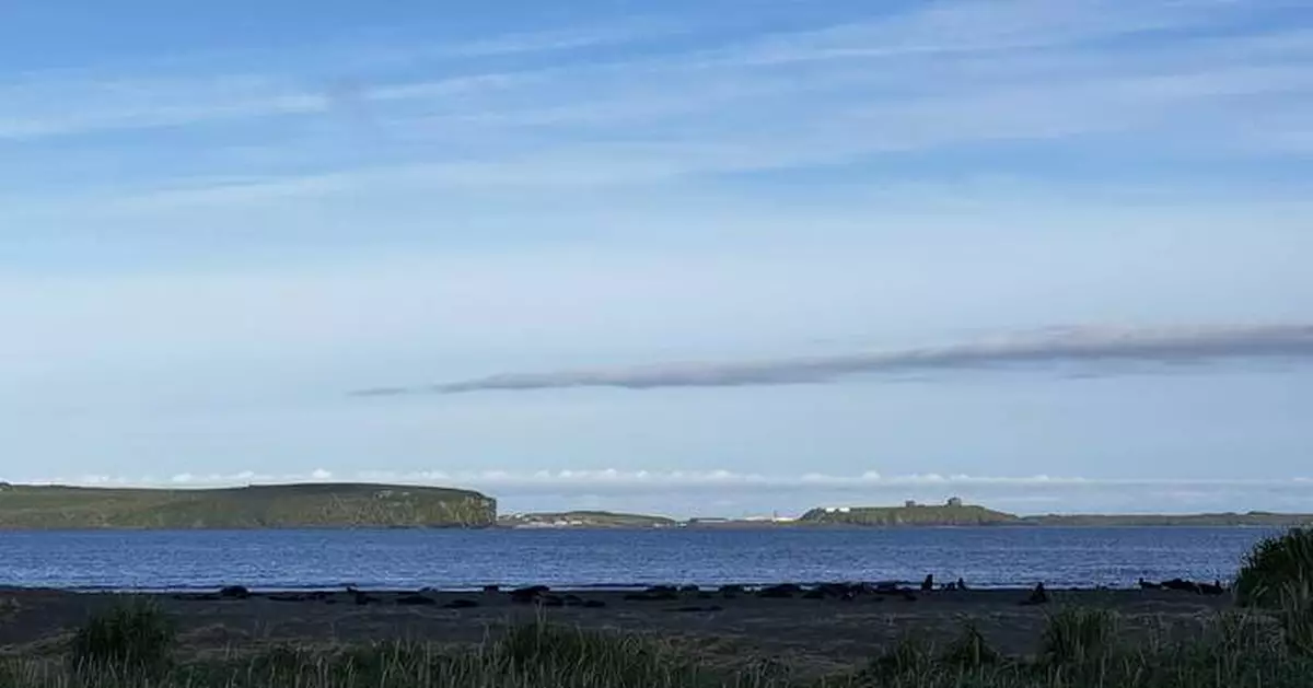 Why an Alaska island is using peanut butter and black lights to find a rat that might not exist