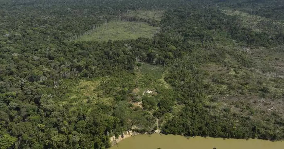 Judge in Brazil orders slaughterhouses to pay for Amazon reforestation