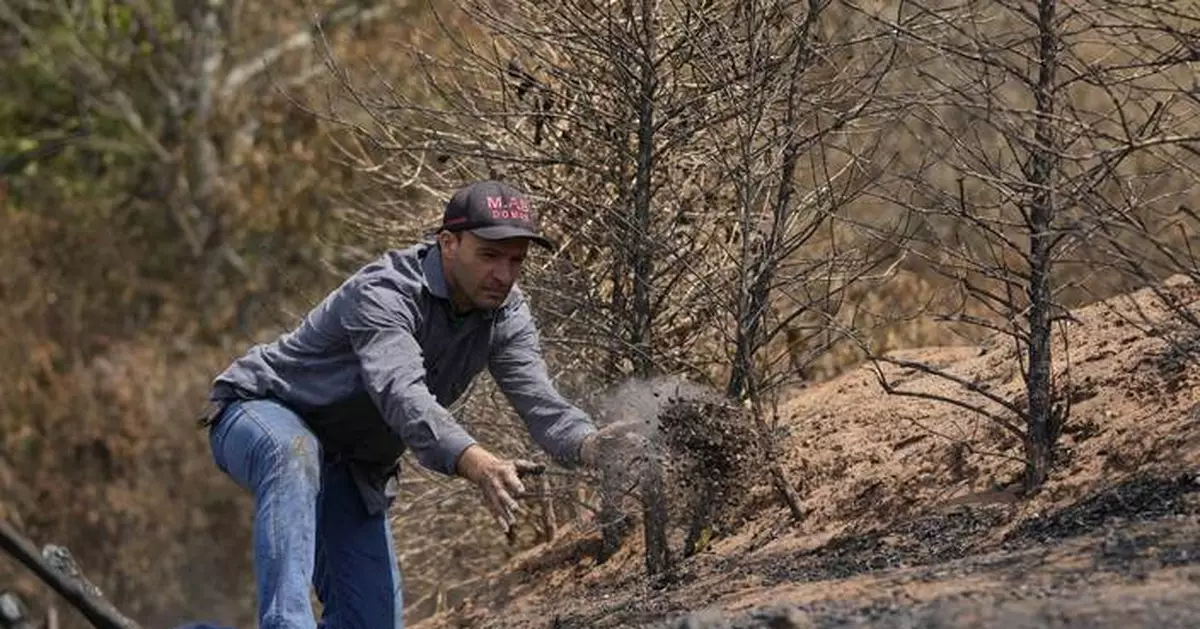 Brazil drought punishes coffee farms and threatens to push prices even higher