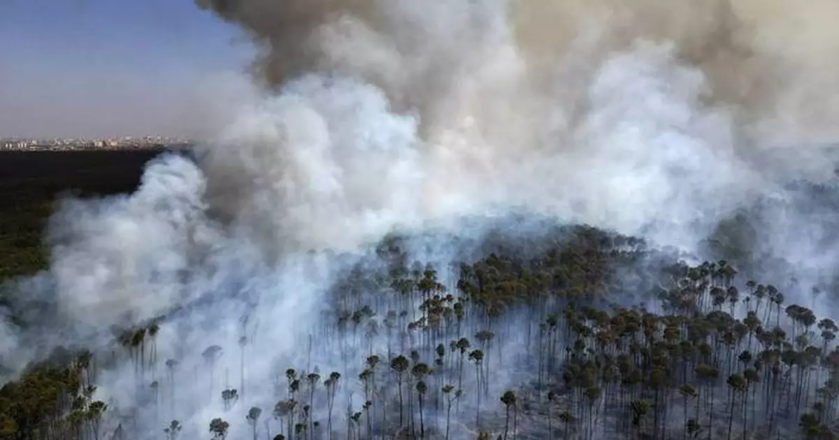 During Brazil's worst drought, wildfires rage and the Amazon River falls to a record low