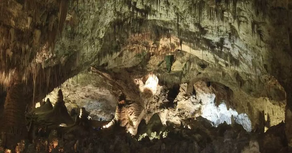 Is it worth crying over spilled Cheetos? Absolutely, say rangers at Carlsbad Caverns National Park