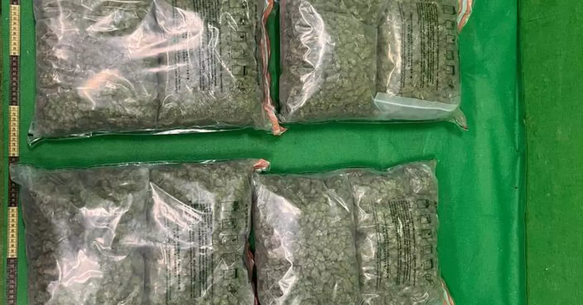 Hong Kong Customs Seizes 14kg of Cannabis Worth $3.8 Million at Airport, Two Arrested