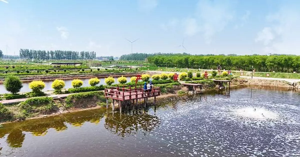 2024 Silk Road Week Concludes in Paris