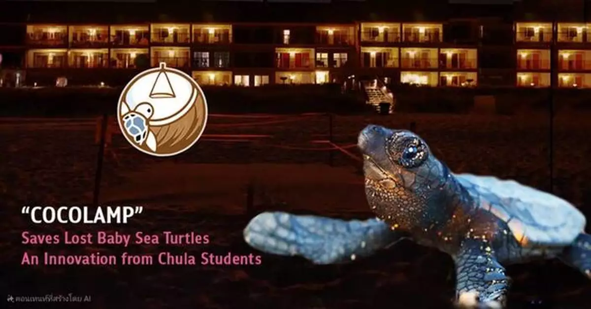 COCOLAMP Saves Lost Baby Sea Turtles, An Innovation from Chulalongkorn Students