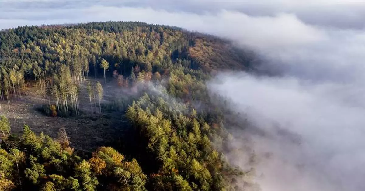 UN chief calls for more pledges, private sector input to save global biodiversity at Colombia summit