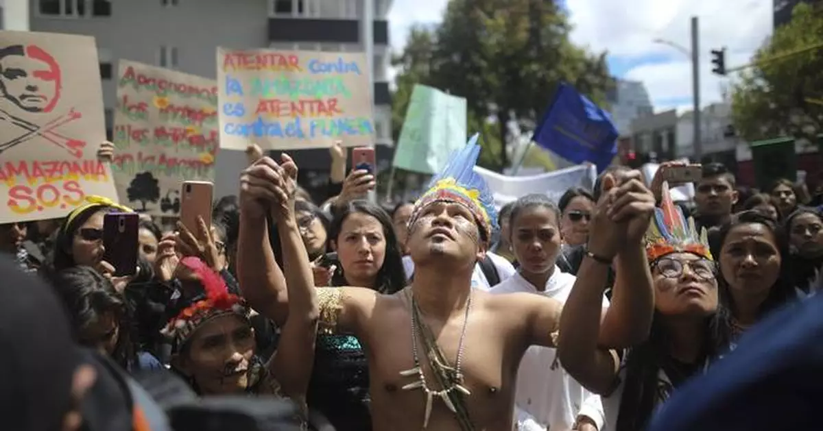 Efforts to combat deforestation in Colombia lag because of armed groups, report finds