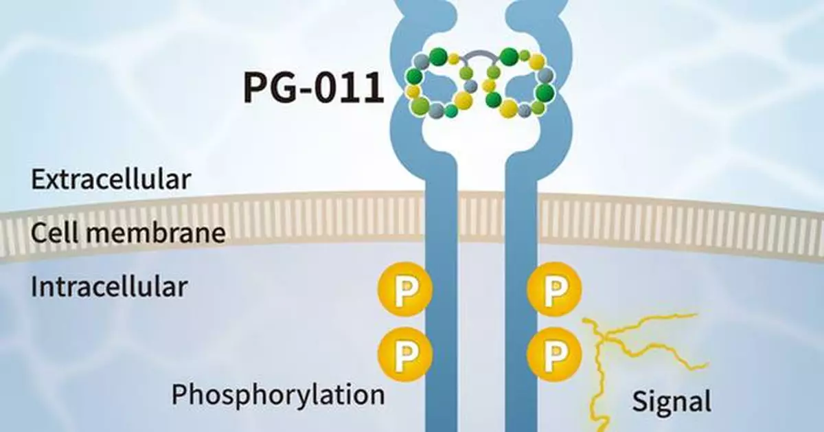 PeptiGrowth Inc. is Launching a Novel Synthetic FGF2 Alternative Peptide (FGFR1c Agonist)