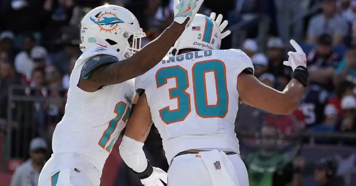 Dolphins pick up sloppy 15-10 victory over Patriots