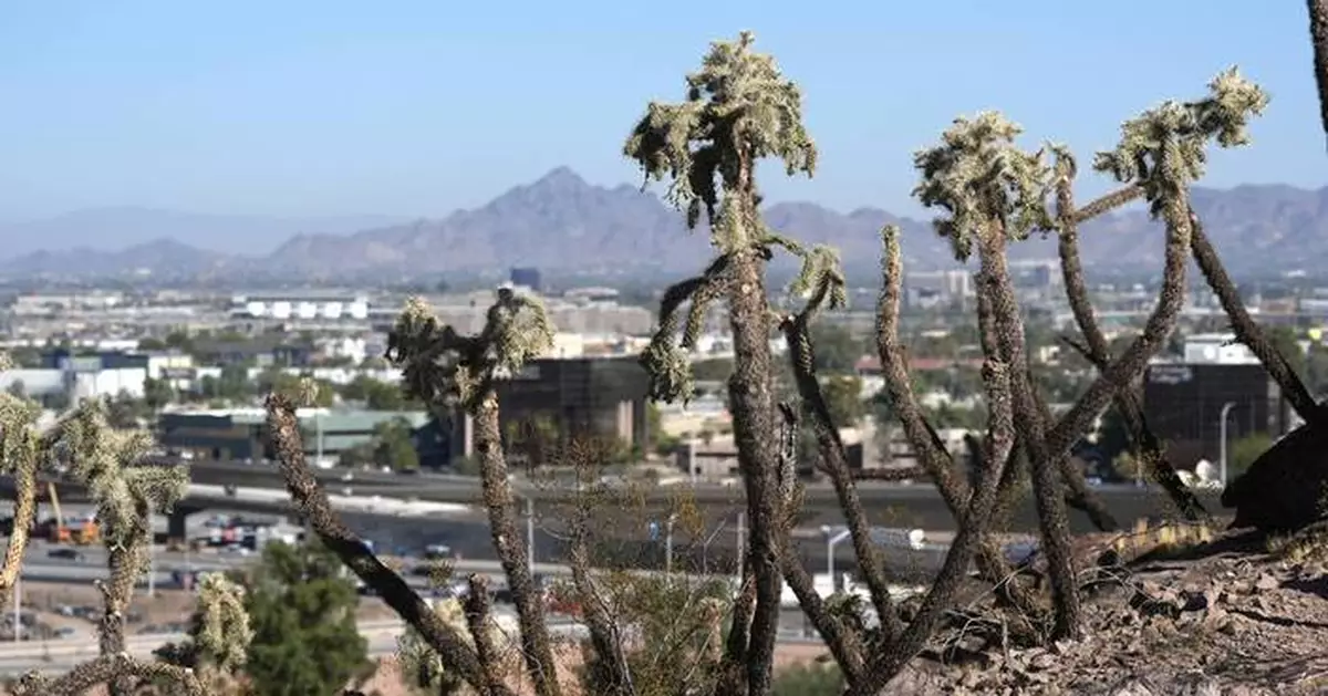 We may not know the next president on Election Day. This Arizona swing county could be why