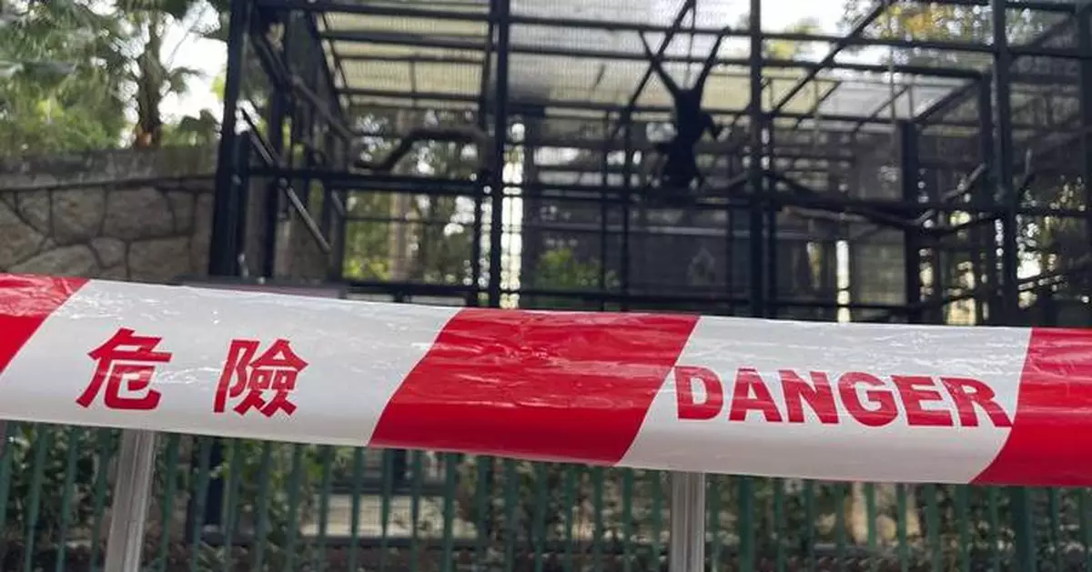 A Hong Kong zoo seeks answers after 9 monkeys die in 2 days