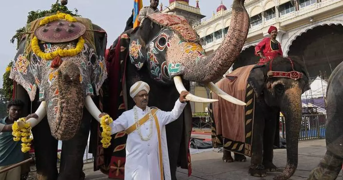 AP PHOTOS: An elephant procession for Dussehra draws a crowd in the former Mysore kingdom