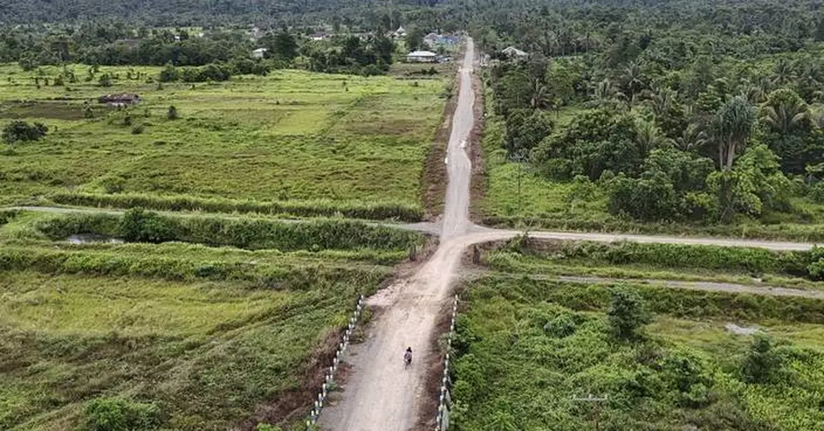 Countries, businesses and trade officials urge EU to rethink deforestation regulation