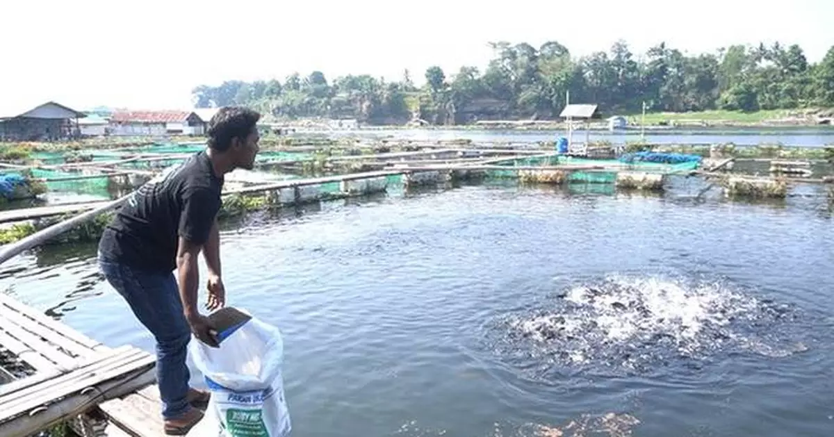 Strategic Partnership Between JULO and eFishery Drives Financial Inclusion and Financial Literacy Among Fish Farmers