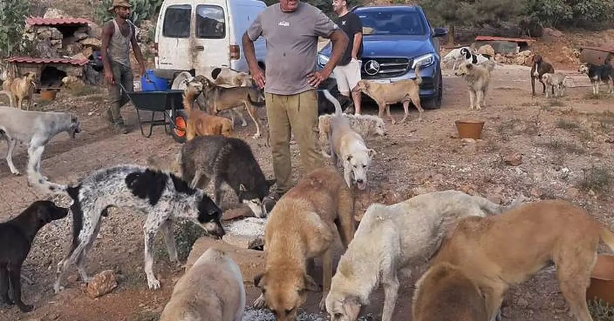 A man in south Lebanon cares for pets left behind as residents flee Israeli strikes