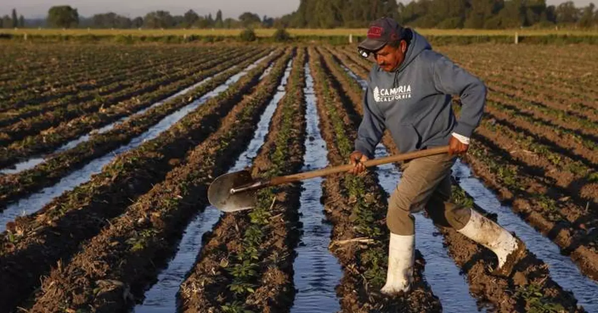 Mexico announces food and agriculture plan that could take the country back to the 1980s