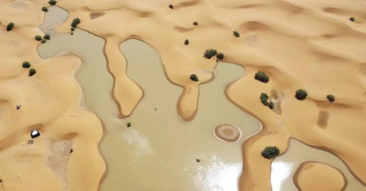 Water gushes through palm trees and sand dunes after rare rain in the Sahara Desert