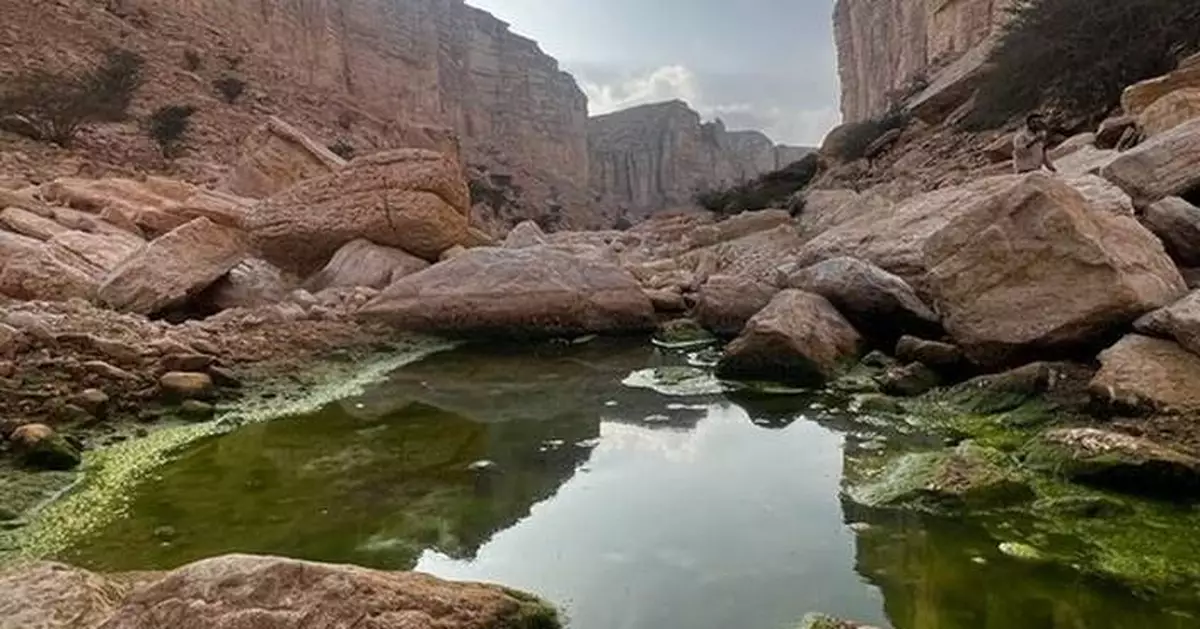 First Saudi Protected Area Listed on IUCN Green List