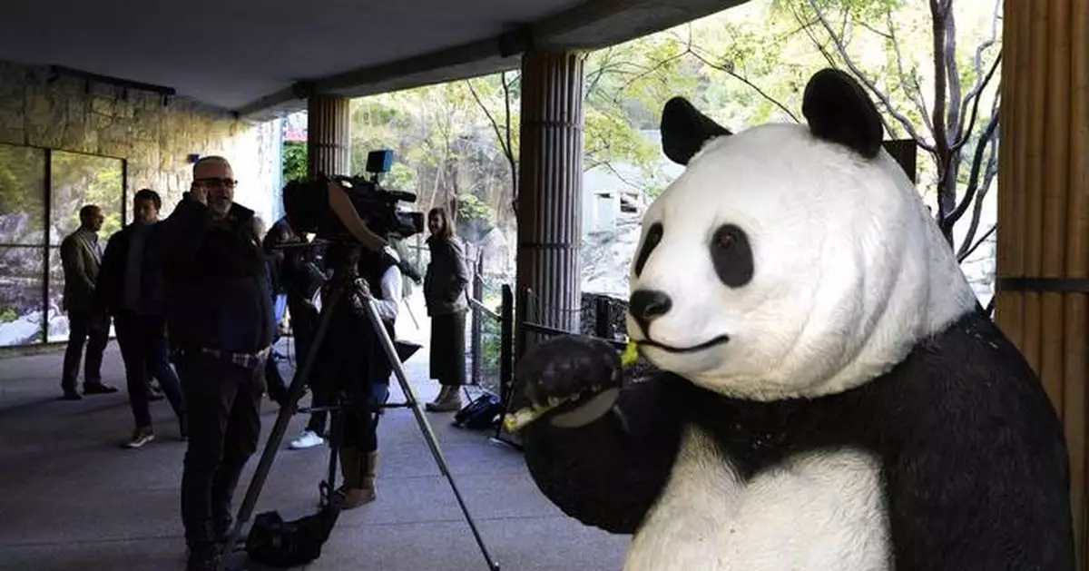 The pandas have landed! Here's what you need to know