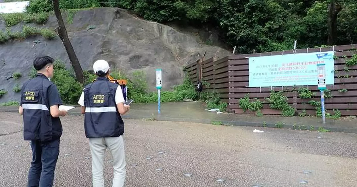 Hong Kong Increases Penalties for Illegal Feeding of Wild Animals and Feral Pigeons Amid New Ordinance Enforcement
