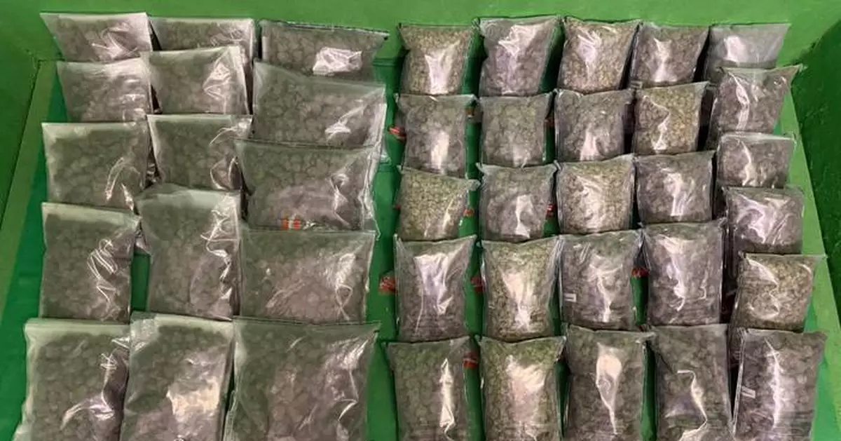 Hong Kong Customs Seizes $5.2 Million in Drugs at Airport, Arrests Three Passengers