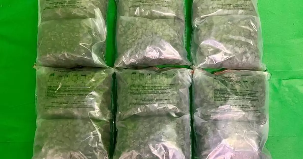 Hong Kong Customs Seizes 10 Kg of Cannabis, Arrests Two in Drug Trafficking Bust at Airport