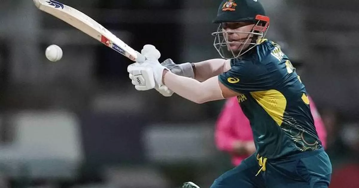 David Warner's leadership ban has been lifted by Cricket Australia