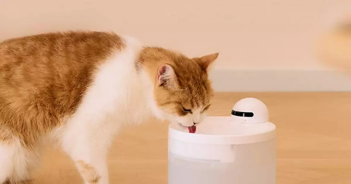 Hiigge Unveils the Snowball Pet Fountain: The First Cordless Remote Control Pet Fountain for Your Furry Friend