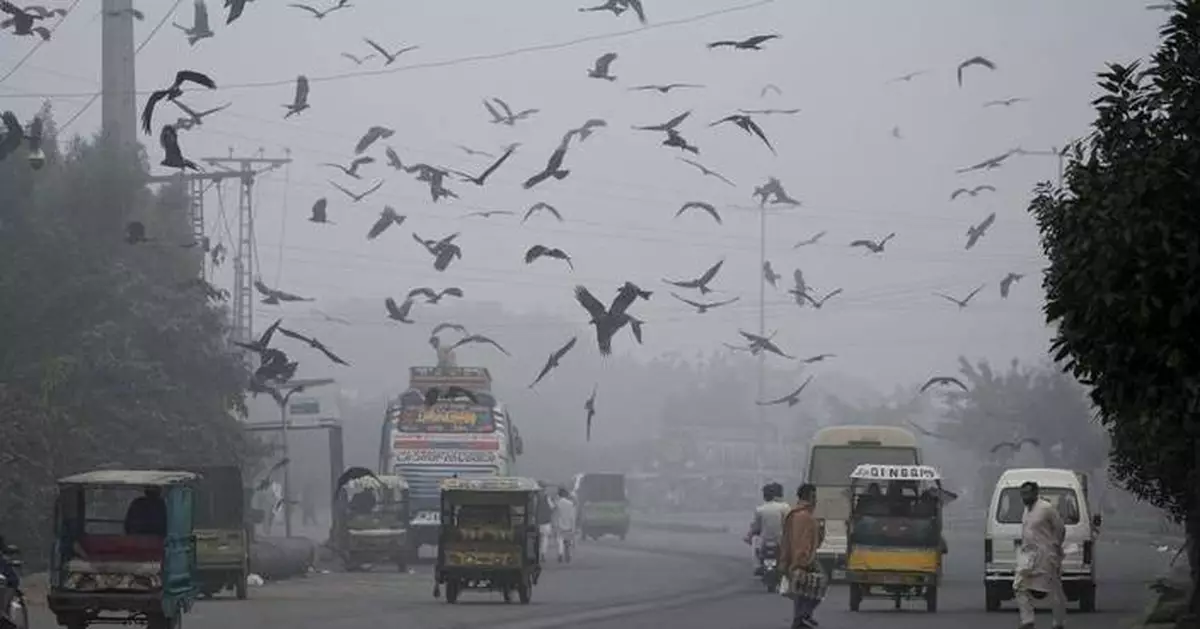 Pakistani province declares health emergency due to smog and locks down two cities