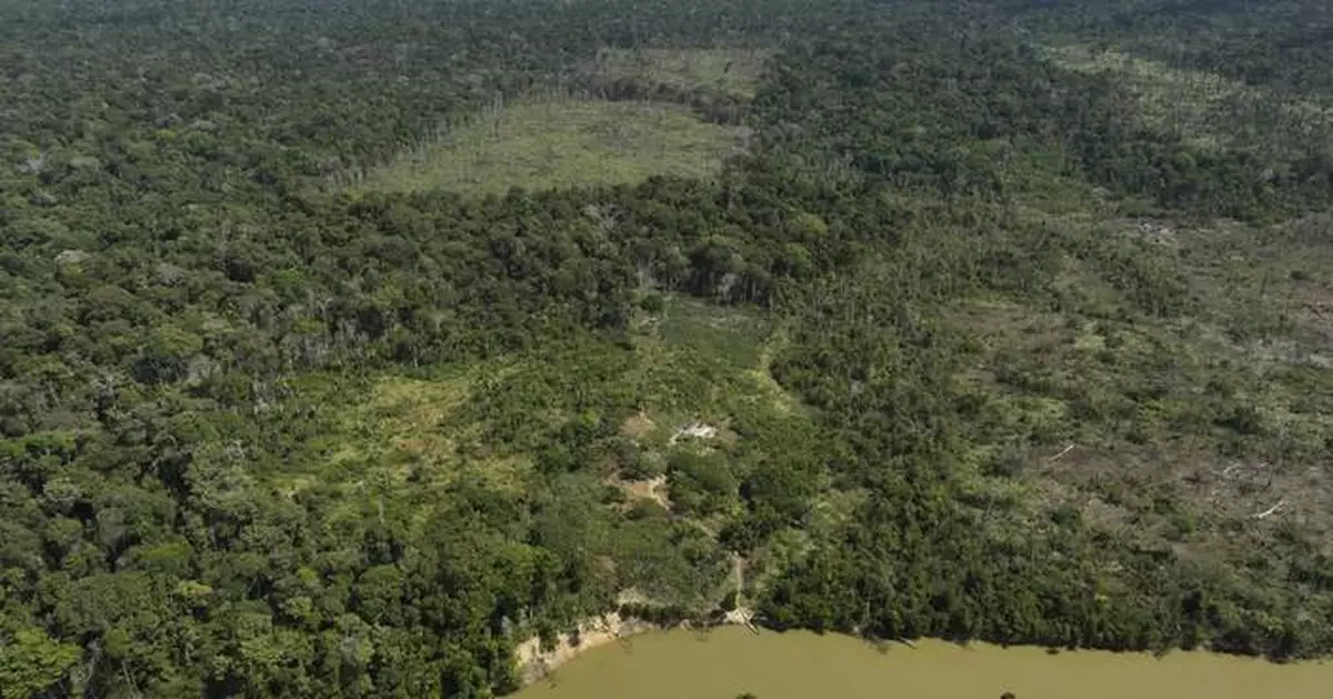 Deforestation in Brazil's Amazon drops by nearly 31% compared to previous year