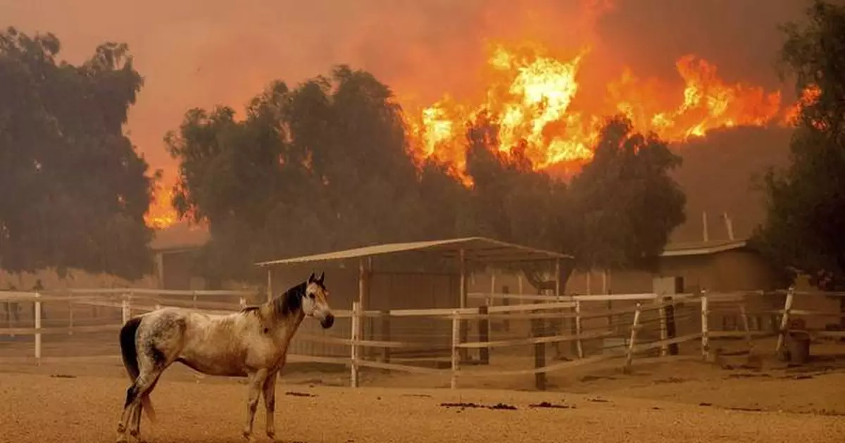 Southern California wildfire destroys 132 structures as officials look for fierce winds to subside