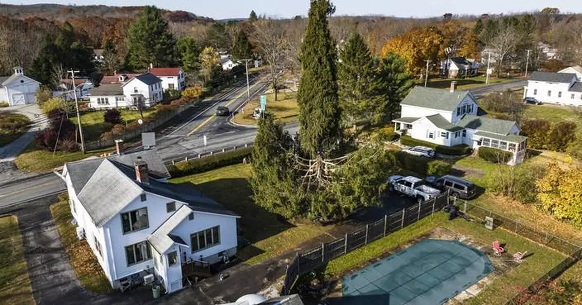 Crowds flock to tiny Massachusetts town to send off New York's Rockefeller Christmas tree