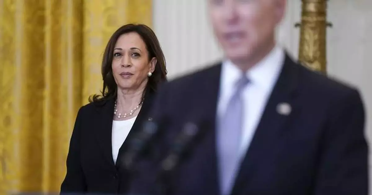 Joe Biden gets blamed by Harris allies for the vice president's resounding loss