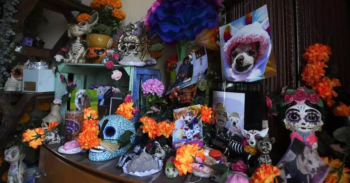 Pets join Mexico's Day of the Dead celebrations, as Fido and Tiger get their own altars