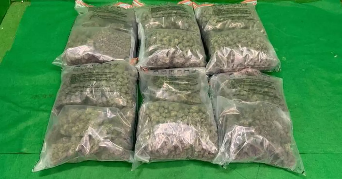 Hong Kong Customs Seizes 14kg of Cannabis Worth $3.1 Million at Airport, Two Arrested