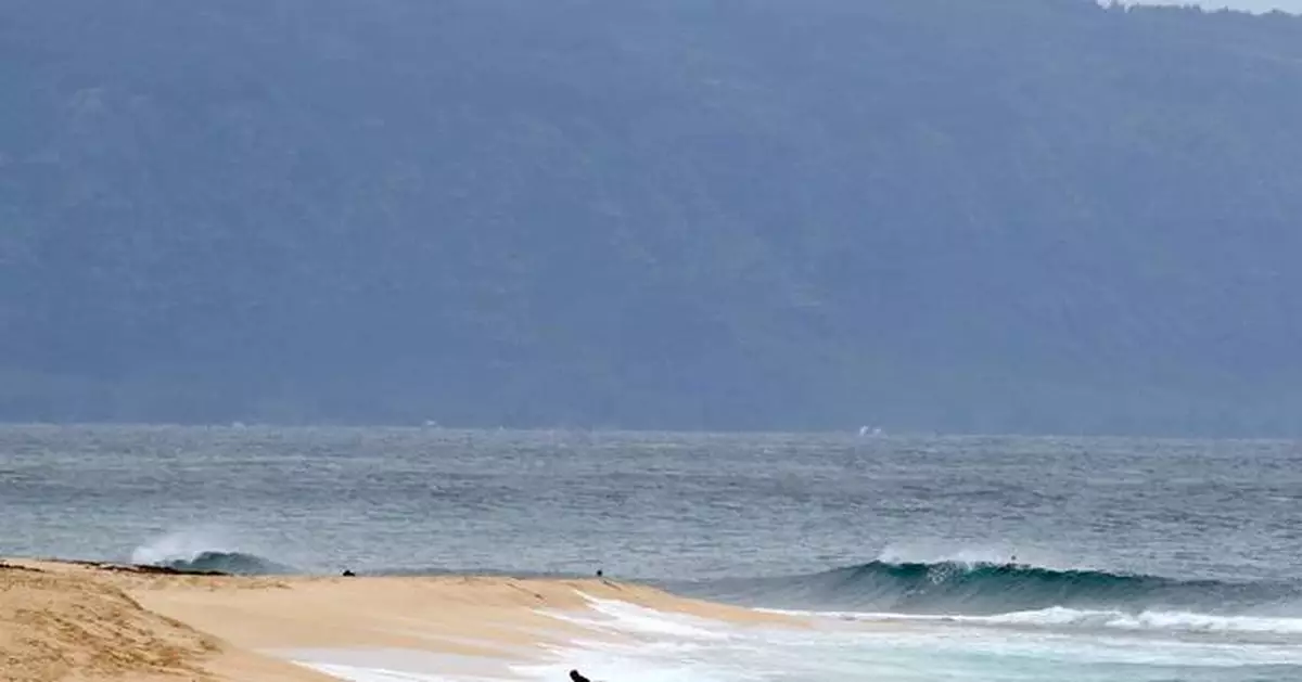 Shark bites 61-year-old Maui surfer, completely severing his leg below the knee