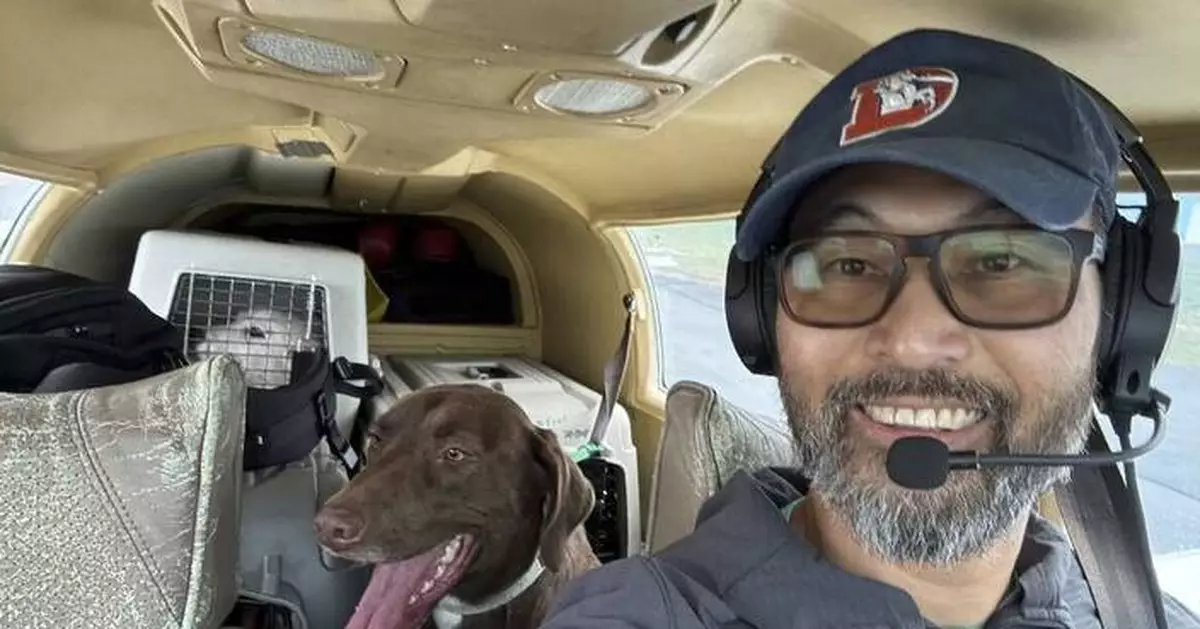 Pilot who rescued animals all over the country dies in crash. 2 of his canine passengers survived