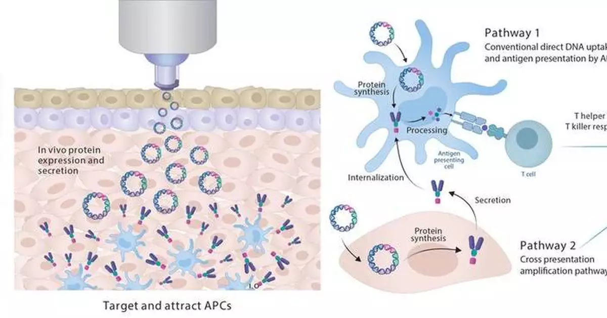 PharmaJet Poster Presentation at Cancer Immunotherapy Conference Highlights How Needle-free Technology is Enhancing Oncology Solutions