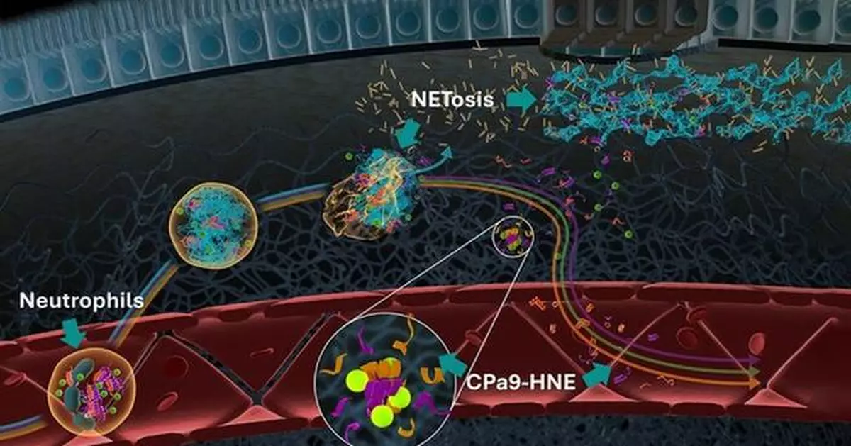 Nordic Bioscience receives Letter of Support from the FDA for the CPa9-HNE biomarker in inflammatory bowel diseases