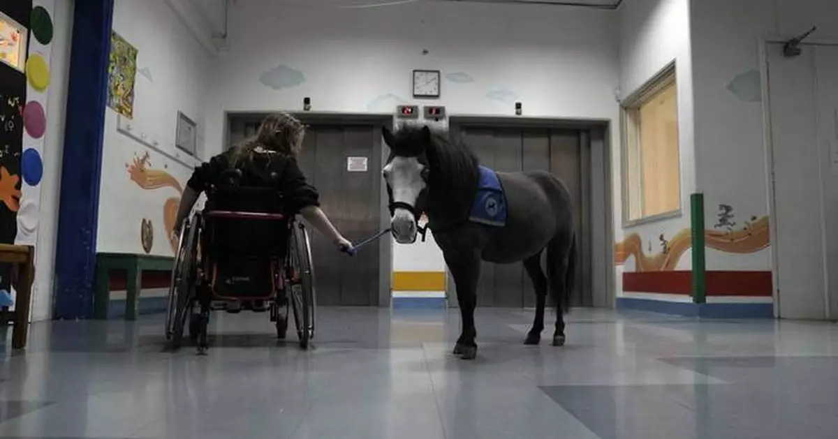 Greece's only miniature therapy horses bring joy to many, but their charity is struggling