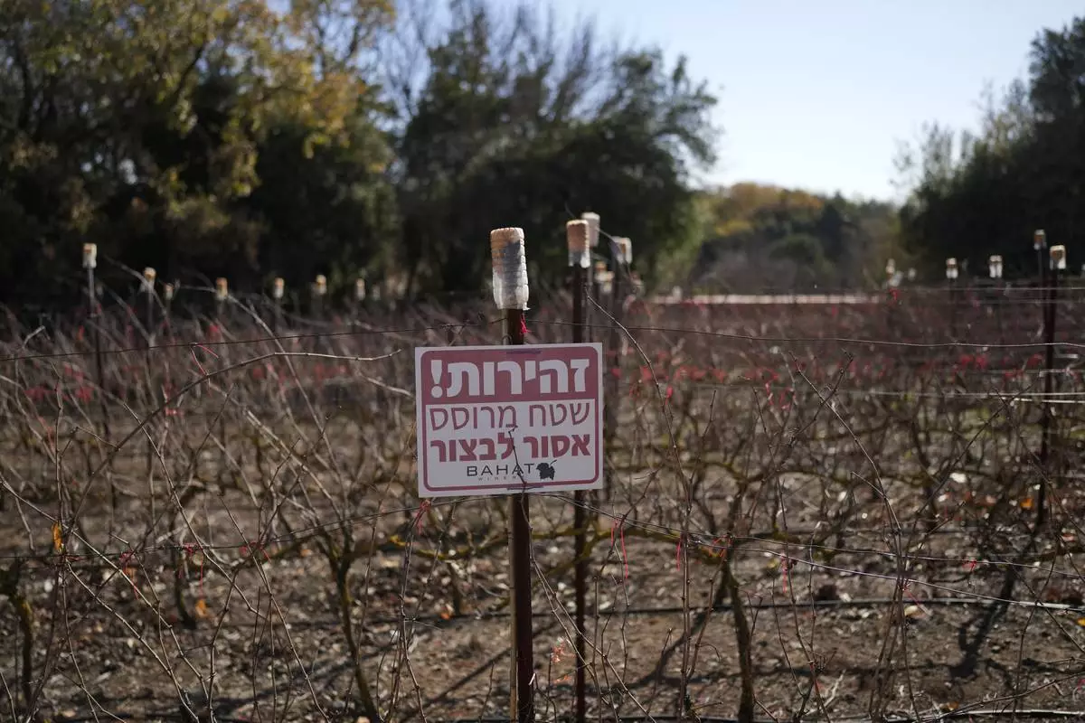 A sign in Hebrew reading, "Warning, sprayed area, harvest forbidden," stands in a field of the Bahat winery in the kibbutz of Ein Zivan in the Israeli-annexed Golan Heights, which most of the world considers occupied Syrian territory, Thursday, Dec. 19, 2024. (AP Photo/Matias Delacroix)