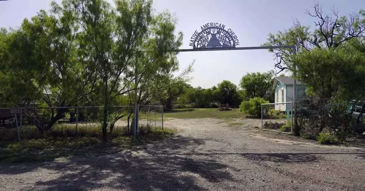 What is the Native American Church and why is peyote sacred to members?